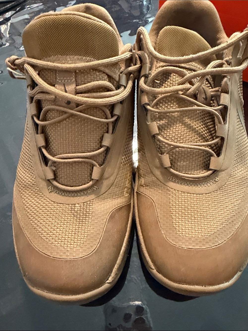 Nike React SFB Carbon Low